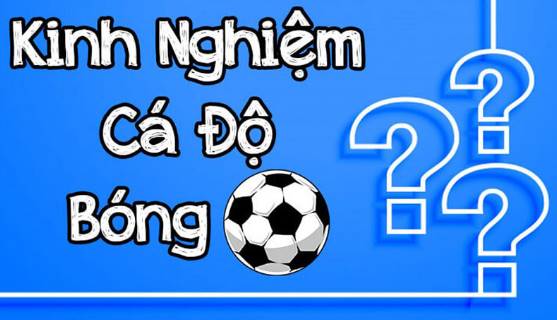 Kinh nghiệm cá cược bóng đá đỉnh cao